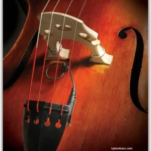 Offre Du Jour David Gage Strings Realist Transducer for String Bass